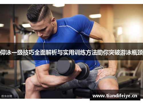 仰泳一级技巧全面解析与实用训练方法助你突破游泳瓶颈