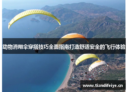 动物滑翔伞穿搭技巧全面指南打造舒适安全的飞行体验