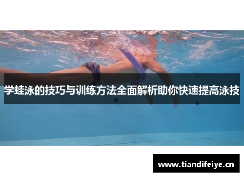 学蛙泳的技巧与训练方法全面解析助你快速提高泳技