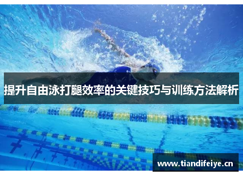 提升自由泳打腿效率的关键技巧与训练方法解析