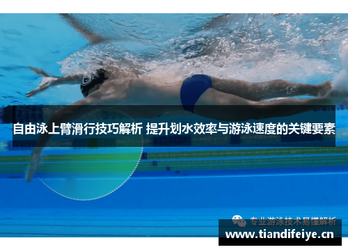 自由泳上臂滑行技巧解析 提升划水效率与游泳速度的关键要素
