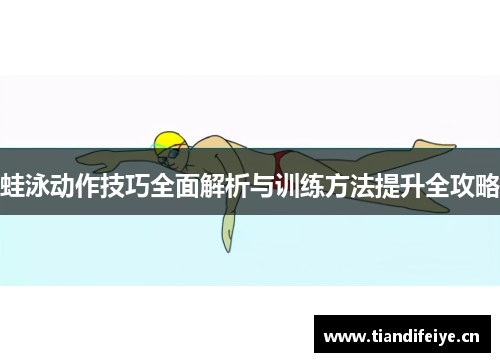 蛙泳动作技巧全面解析与训练方法提升全攻略
