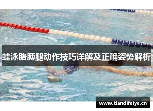蛙泳胳膊腿动作技巧详解及正确姿势解析